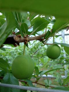 20120522貴陽.jpg