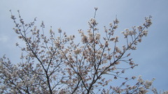 220330s2.JPG