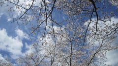 220401s1.JPG