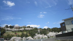 220402s3.JPG