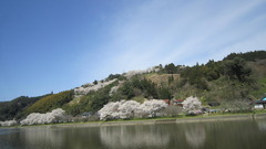 220405s4.JPG